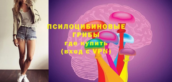 дживик Арсеньев