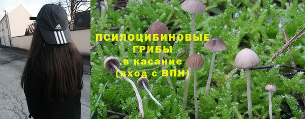 молекула духа Армянск