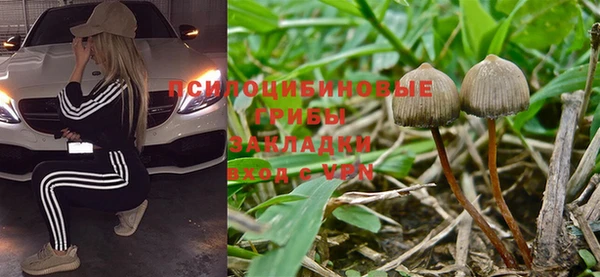 дживик Арсеньев