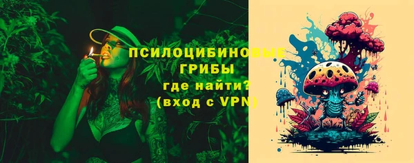 спиды Аркадак