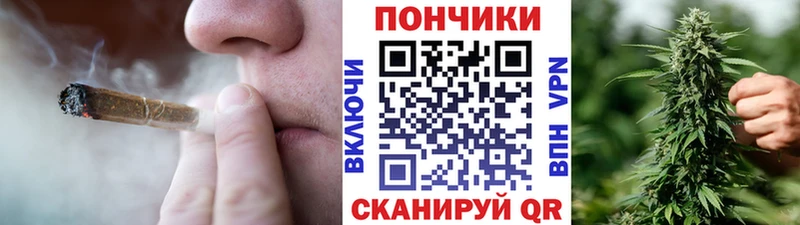 Бошки Шишки планчик сколько стоит MEGA Рыбинск
